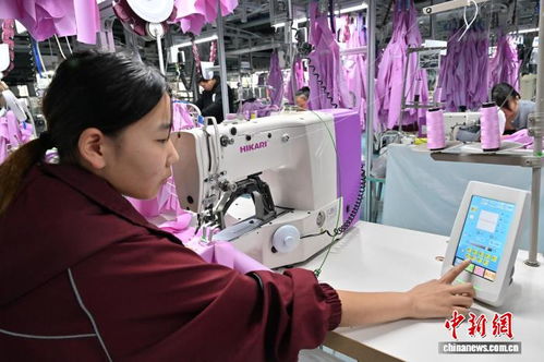 節(jié)后趕工忙，輔料制造助商丘服裝產(chǎn)業(yè)煥新顏